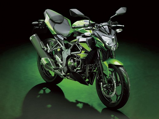 Kawasaki Commences Z250 Testing In India