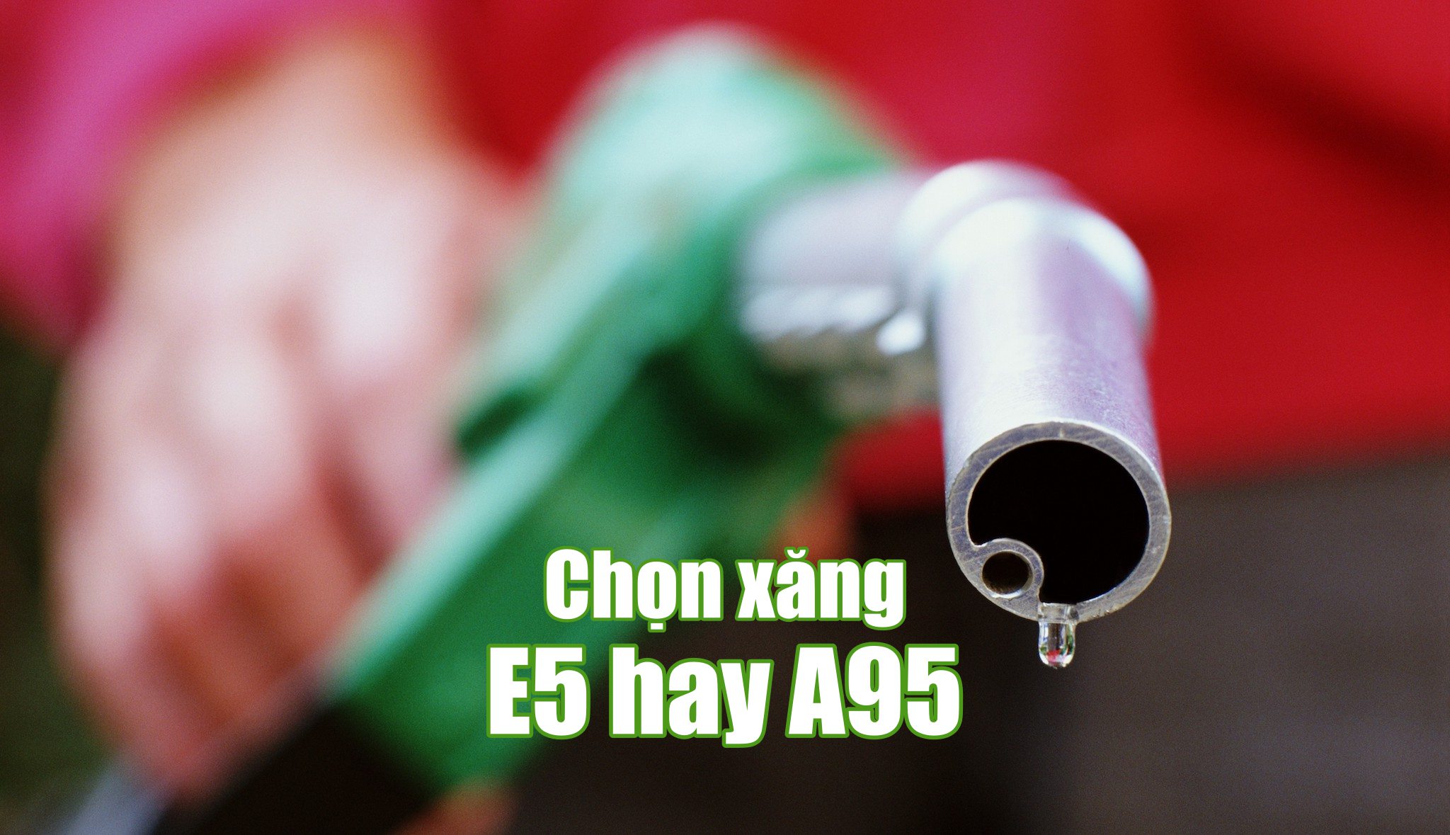 xang-95-hay-e5-hay-de-thi-truong-tu-dao-thai-thay-vi-ep-buoc