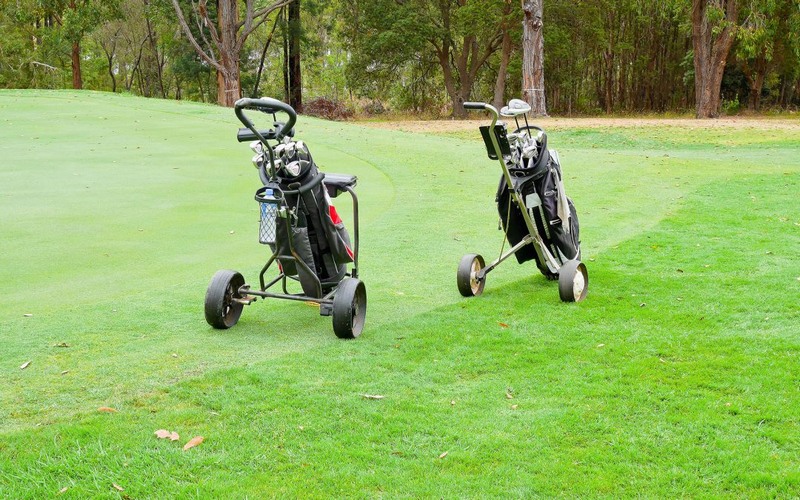 Golf cart là gì? Sự khác biệt giữa golf cart và golf buggy mà nhiều người hay nhầm lẫn - CafeAuto.Vn