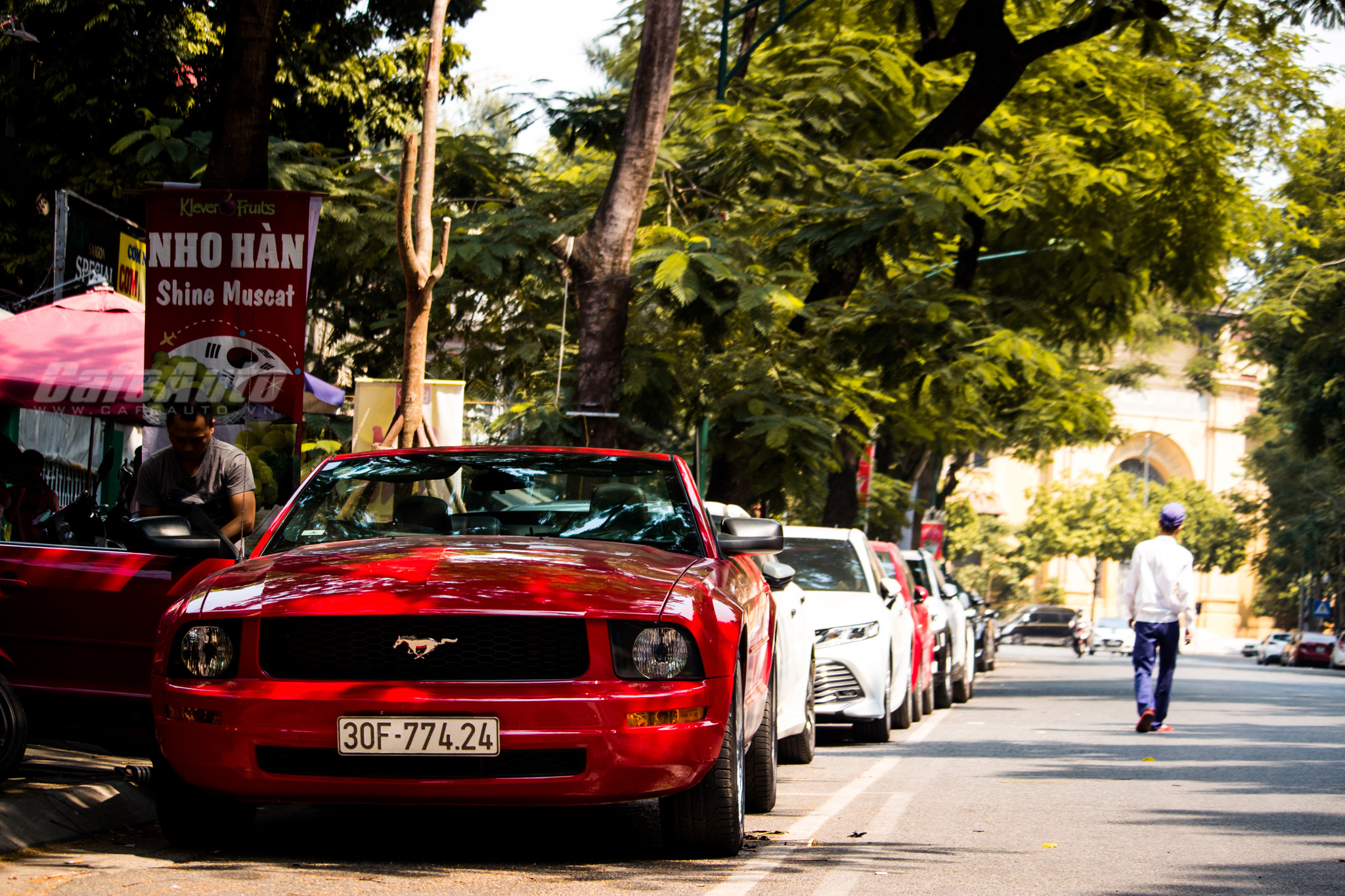 mustang2008-cafeautovn-8